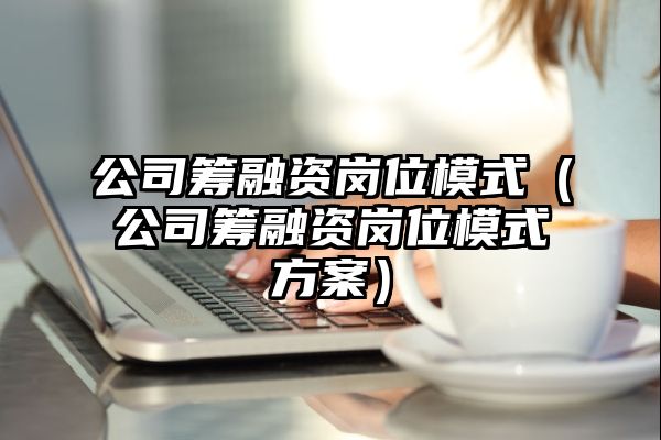 公司筹融资岗位模式（公司筹融资岗位模式方案）