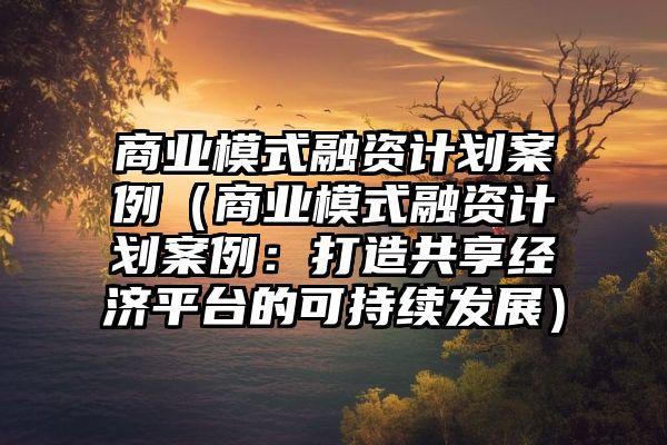 商业模式融资计划案例（商业模式融资计划案例：打造共享经济平台的可持续发展）