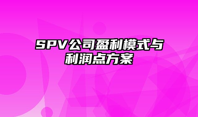 SPV公司盈利模式与利润点方案