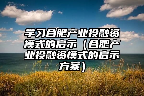 学习合肥产业投融资模式的启示（合肥产业投融资模式的启示方案）