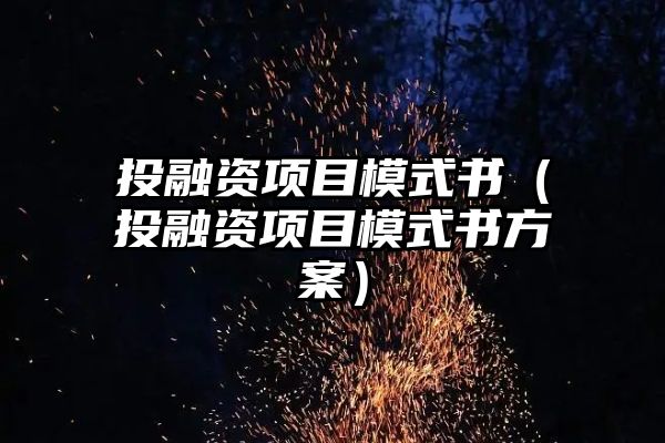 投融资项目模式书（投融资项目模式书方案）