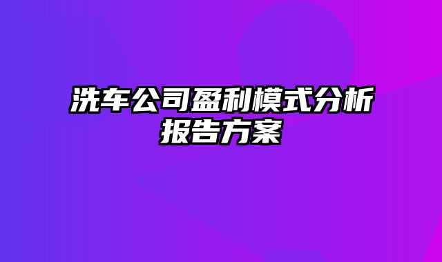 洗车公司盈利模式分析报告方案