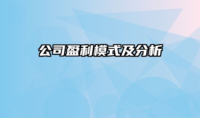 公司盈利模式及分析