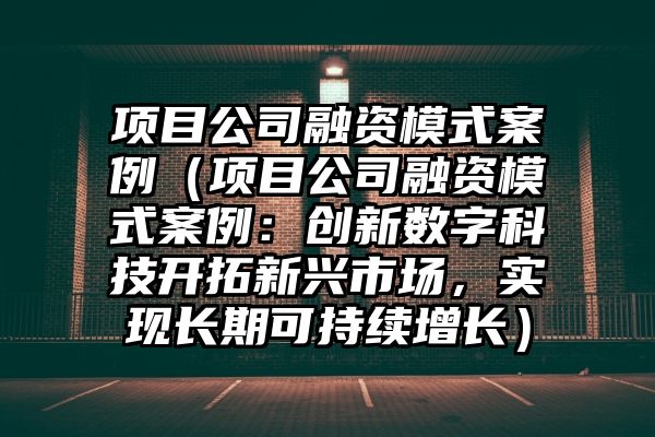 项目公司融资模式案例（项目公司融资模式案例：创新数字科技开拓新兴市场，实现长期可持续增长）