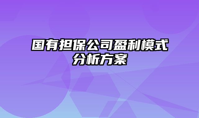 国有担保公司盈利模式分析方案