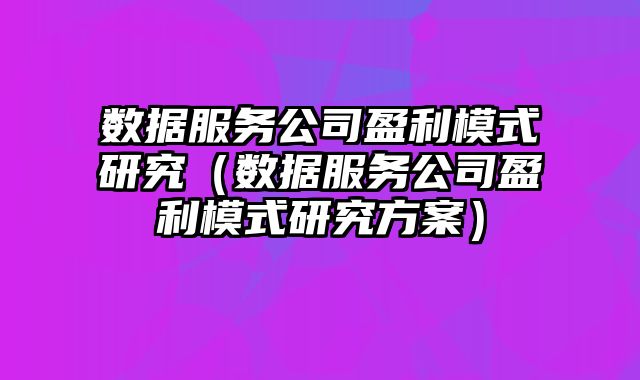 数据服务公司盈利模式研究（数据服务公司盈利模式研究方案）