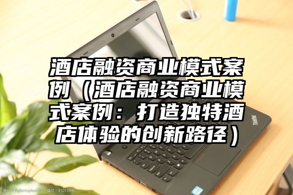 酒店融资商业模式案例（酒店融资商业模式案例：打造独特酒店体验的创新路径）