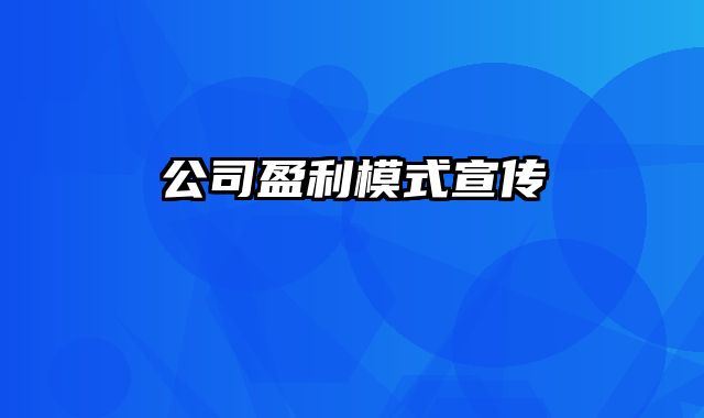 公司盈利模式宣传