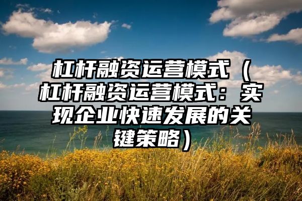 杠杆融资运营模式（杠杆融资运营模式：实现企业快速发展的关键策略）