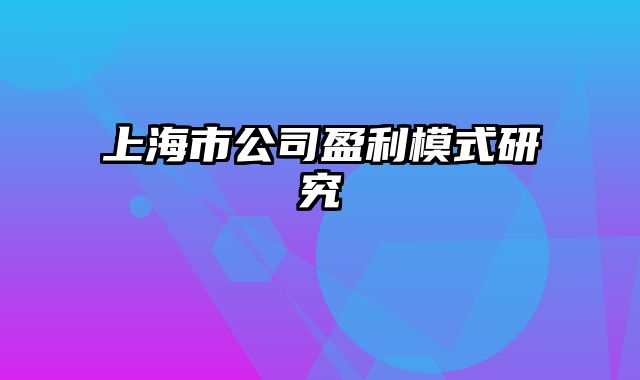 上海市公司盈利模式研究