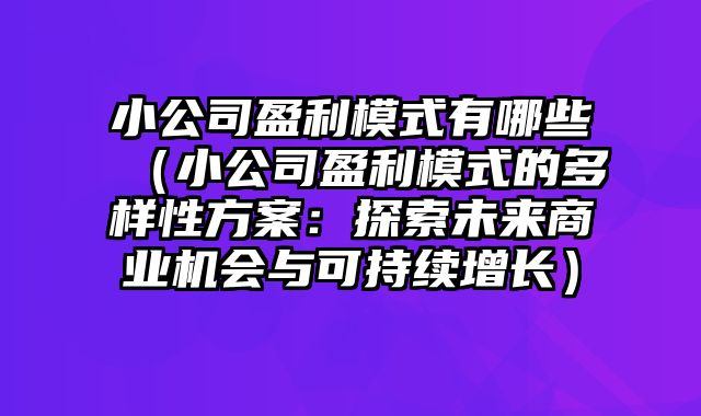 小公司盈利模式有哪些（小公司盈利模式的多样性方案：探索未来商业机会与可持续增长）