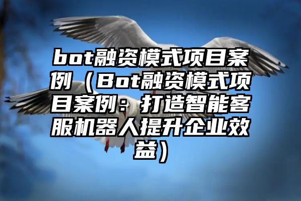 bot融资模式项目案例（Bot融资模式项目案例：打造智能客服机器人提升企业效益）