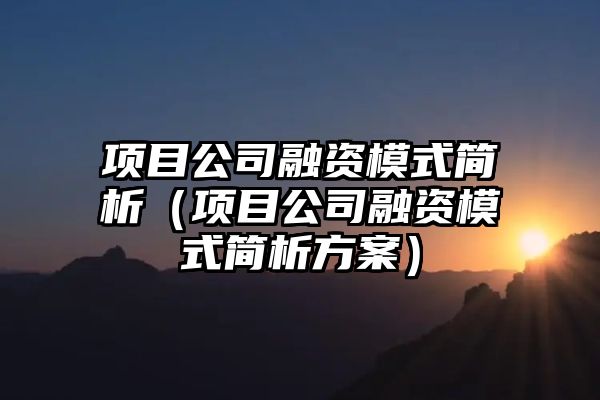 项目公司融资模式简析（项目公司融资模式简析方案）