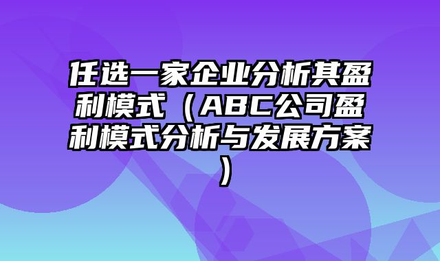 任选一家企业分析其盈利模式（ABC公司盈利模式分析与发展方案）