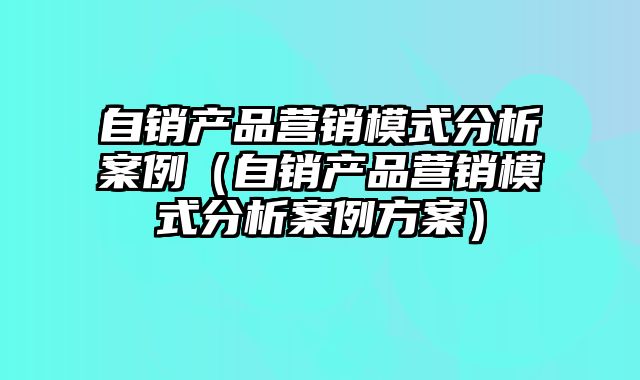 自销产品营销模式分析案例（自销产品营销模式分析案例方案）