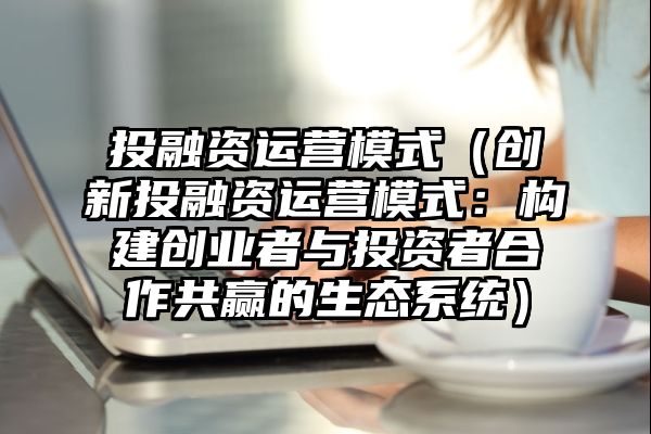 投融资运营模式（创新投融资运营模式：构建创业者与投资者合作共赢的生态系统）