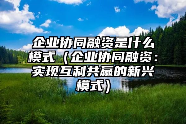 企业协同融资是什么模式（企业协同融资：实现互利共赢的新兴模式）