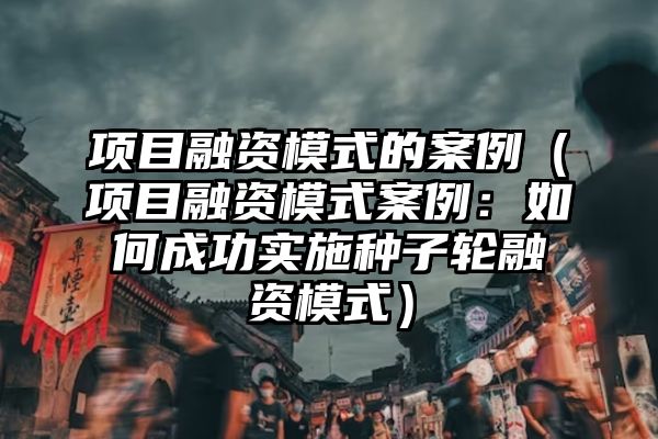 项目融资模式的案例（项目融资模式案例：如何成功实施种子轮融资模式）