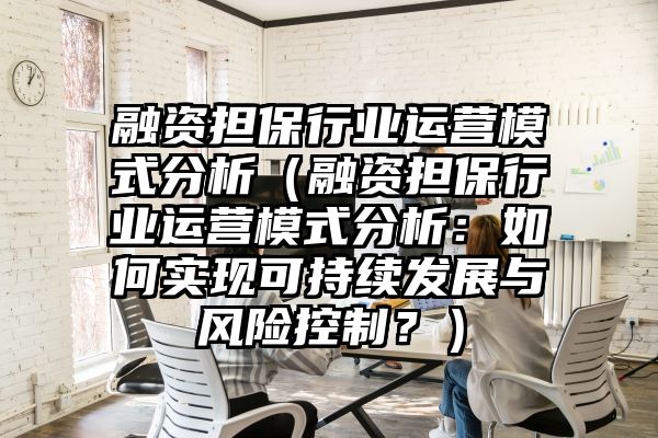 融资担保行业运营模式分析（融资担保行业运营模式分析：如何实现可持续发展与风险控制？）