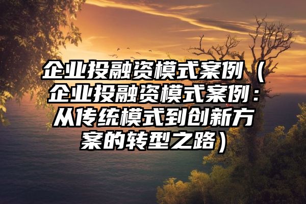 企业投融资模式案例（企业投融资模式案例：从传统模式到创新方案的转型之路）