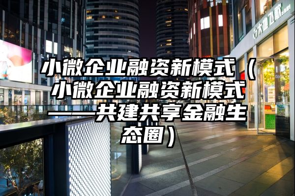 小微企业融资新模式（小微企业融资新模式——共建共享金融生态圈）