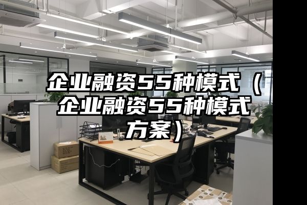 企业融资55种模式（企业融资55种模式方案）