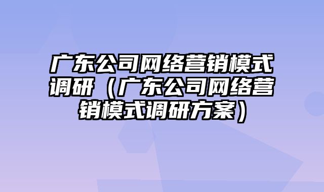 广东公司网络营销模式调研（广东公司网络营销模式调研方案）