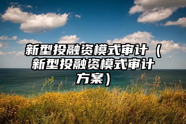 新型投融资模式审计（新型投融资模式审计方案）