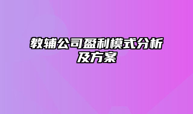 教辅公司盈利模式分析及方案