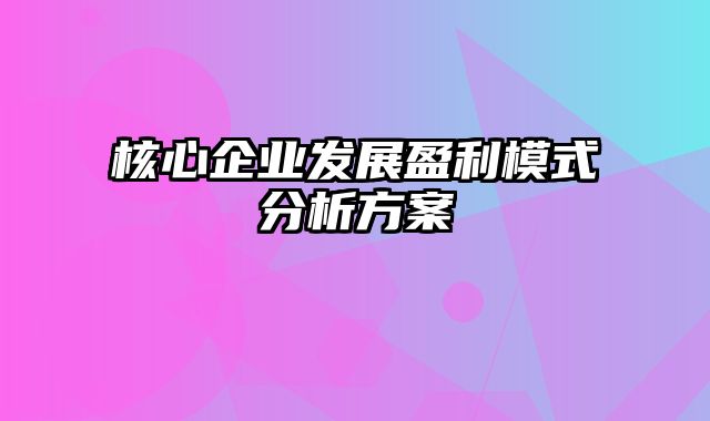 核心企业发展盈利模式分析方案