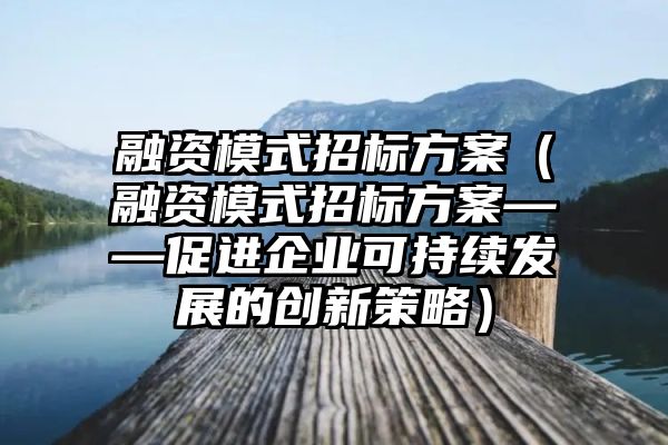 融资模式招标方案（融资模式招标方案——促进企业可持续发展的创新策略）