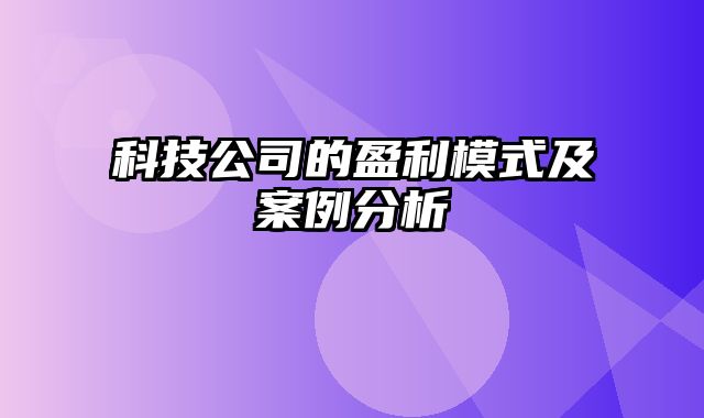 科技公司的盈利模式及案例分析