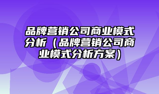 品牌营销公司商业模式分析（品牌营销公司商业模式分析方案）