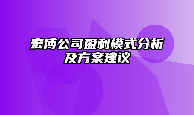 宏博公司盈利模式分析及方案建议