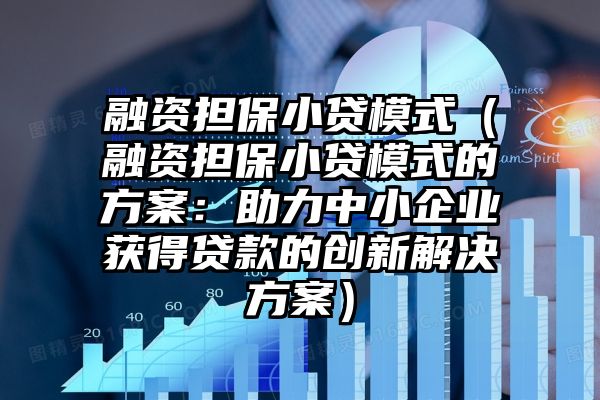 融资担保小贷模式（融资担保小贷模式的方案：助力中小企业获得贷款的创新解决方案）