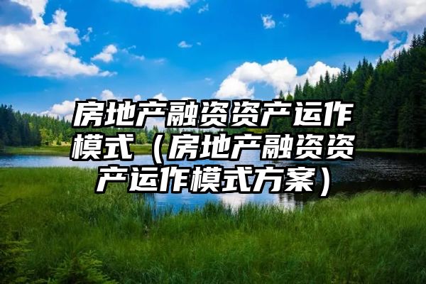 房地产融资资产运作模式（房地产融资资产运作模式方案）