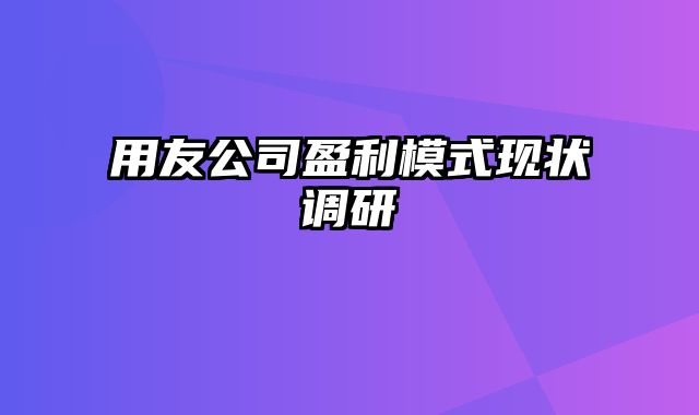 用友公司盈利模式现状调研