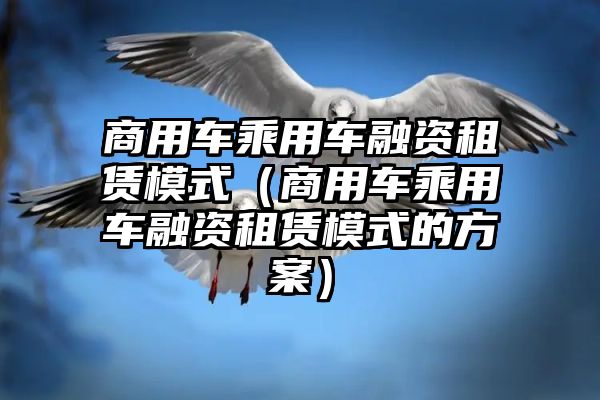 商用车乘用车融资租赁模式（商用车乘用车融资租赁模式的方案）