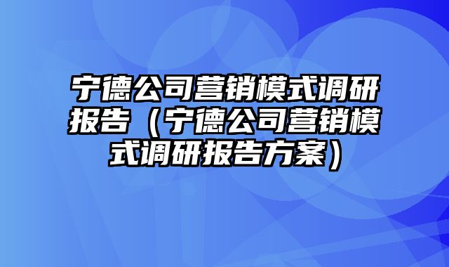 宁德公司营销模式调研报告（宁德公司营销模式调研报告方案）