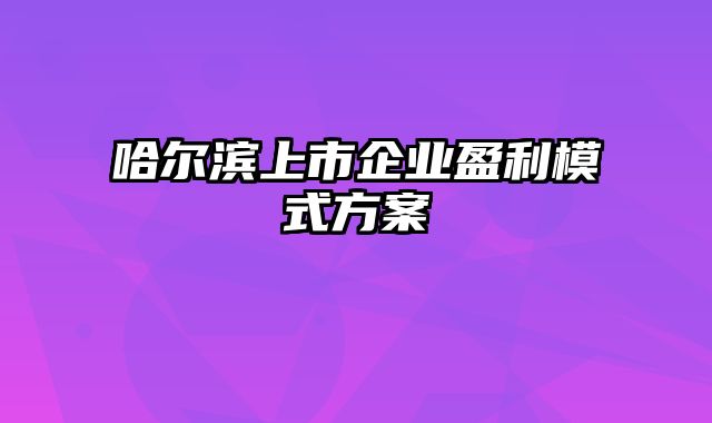 哈尔滨上市企业盈利模式方案