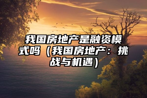 我国房地产是融资模式吗（我国房地产：挑战与机遇）