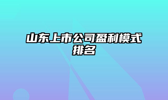 山东上市公司盈利模式排名