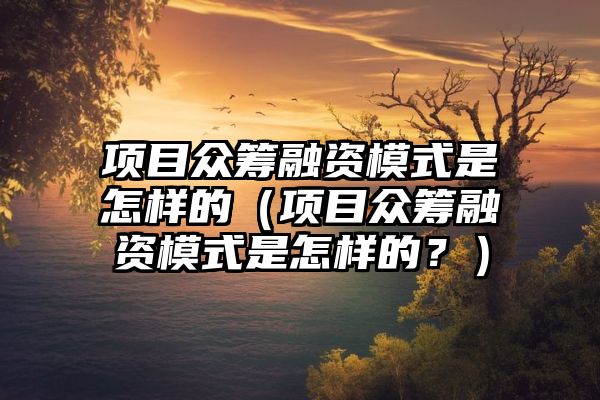 项目众筹融资模式是怎样的（项目众筹融资模式是怎样的？）