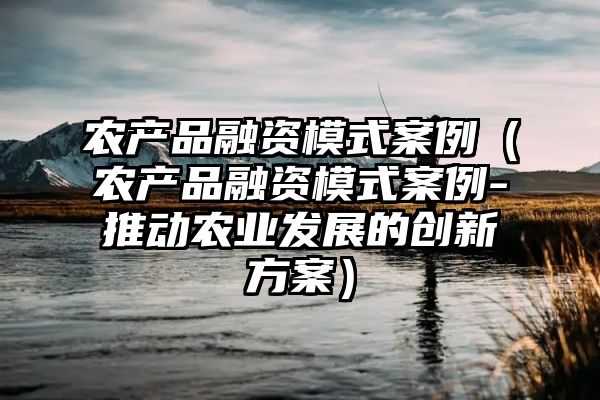 农产品融资模式案例（农产品融资模式案例-推动农业发展的创新方案）