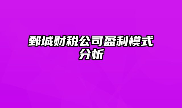 鄄城财税公司盈利模式分析