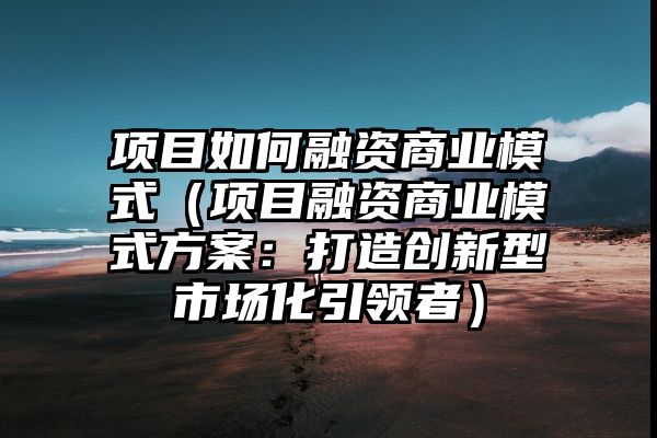 项目如何融资商业模式（项目融资商业模式方案：打造创新型市场化引领者）