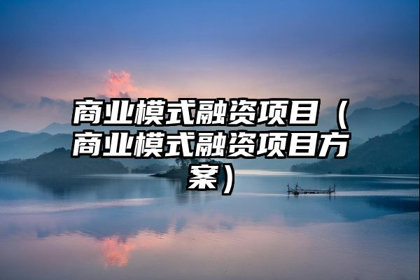 商业模式融资项目（商业模式融资项目方案）