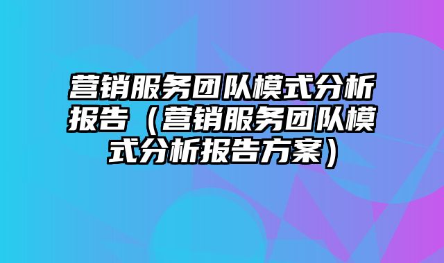 营销服务团队模式分析报告（营销服务团队模式分析报告方案）