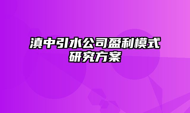 滇中引水公司盈利模式研究方案