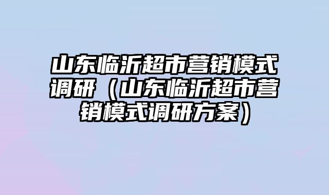 山东临沂超市营销模式调研（山东临沂超市营销模式调研方案）